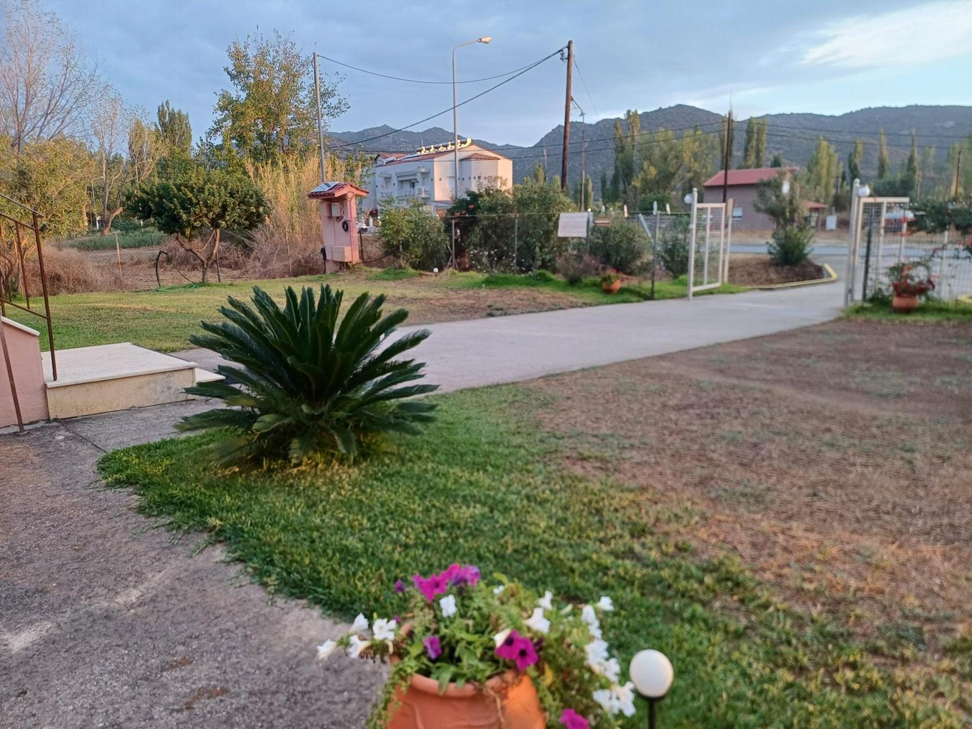 Villa Angela Sykia Dış mekan fotoğraf
