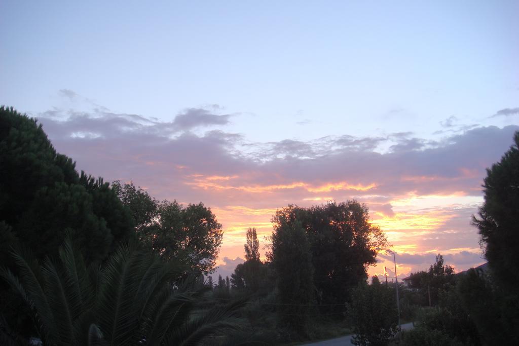 Villa Angela Sykia Oda fotoğraf