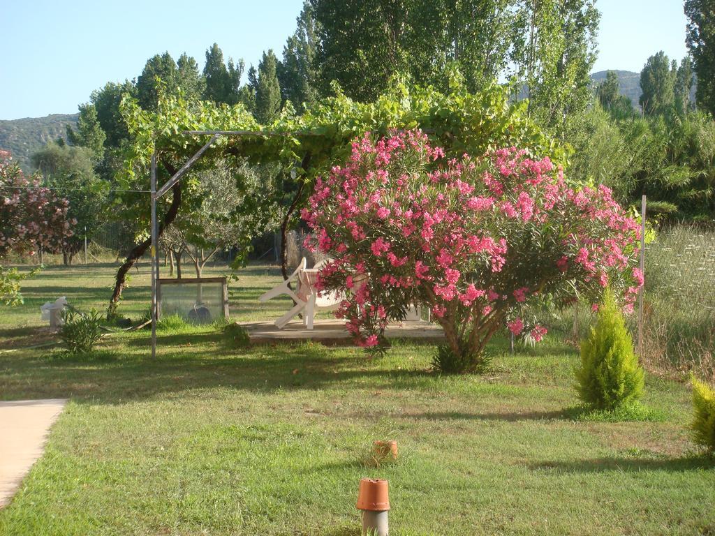 Villa Angela Sykia Dış mekan fotoğraf