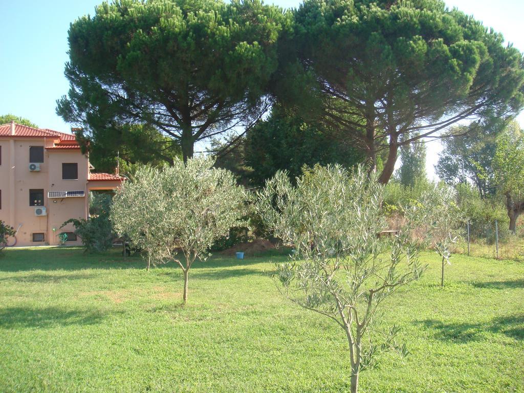 Villa Angela Sykia Dış mekan fotoğraf